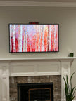 Secure & Stylish Frame Tv Installation Services.