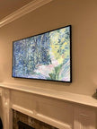 TV mount installation service near me